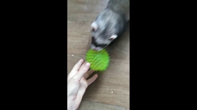 Играю :)