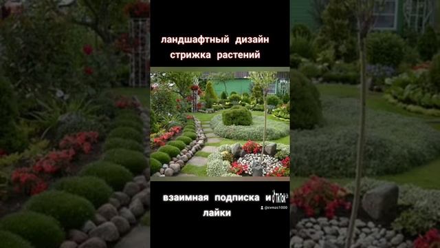 ландшафтный дизайнер # стрижка растений #