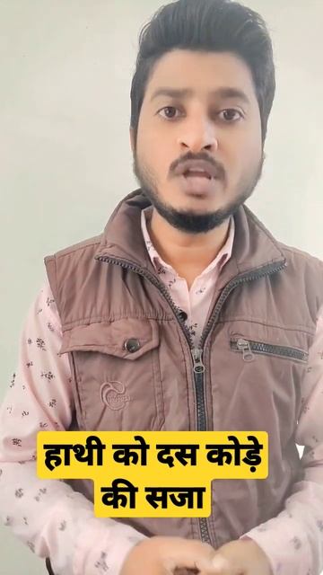 हाथी को शेर ने दस कोड़े मारे लेकिन क्यों?