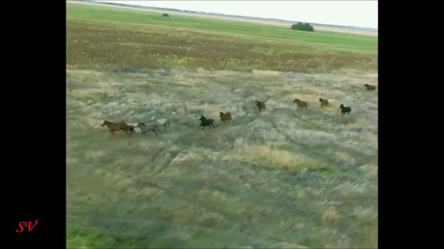 группа Бумер - Взгляну с небес