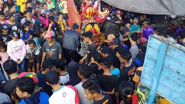 Full Penonton.Tari Kucingan Sak Ndadine Jaranan Muncul Budoyo Beran Lor Live Pendarungan 03-11-2018