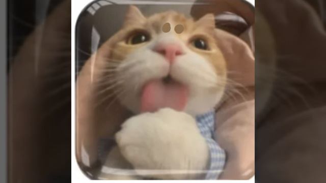 Блин двести лет этому ҂҂҂҂