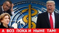 Выход России из ВОЗ - назревший шаг!
