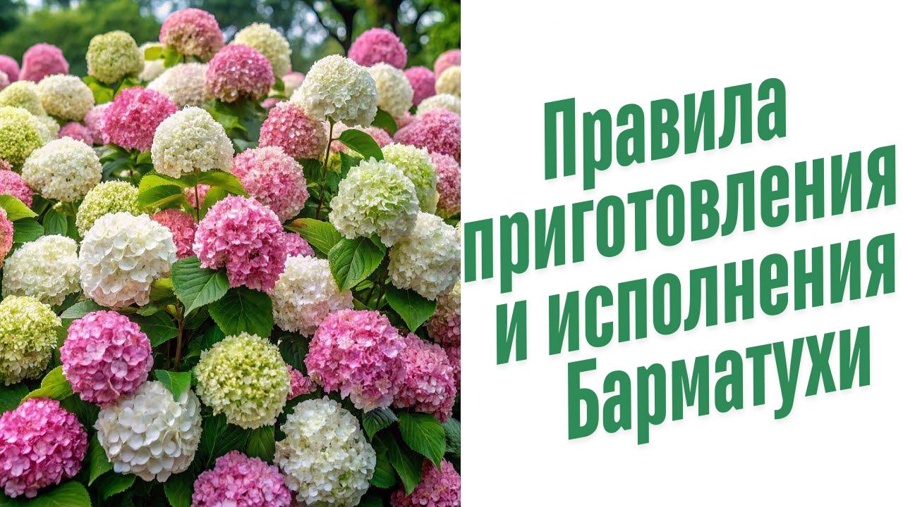 Барматуха рецепт.