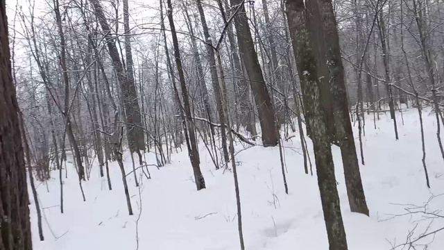1000279807.mp4