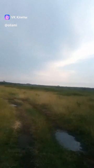 Гуляю со своими ЕВОЙ и АЛИСОЙ