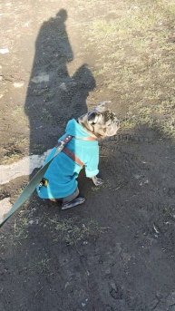 Прогулки в январе.mp4