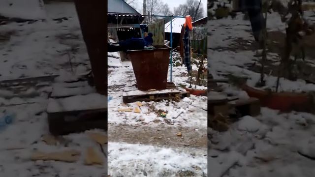 Дима залез в помойку.