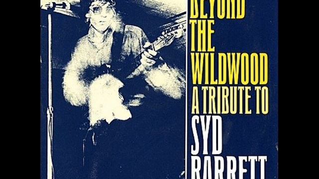 The Ashes in the Morning - Baby lemonade