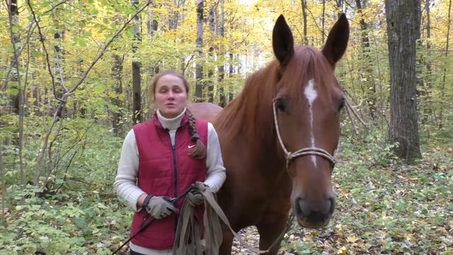 ПРЕДСТАВЛЕНИЕ (Алёна и Капель) EquiFlow