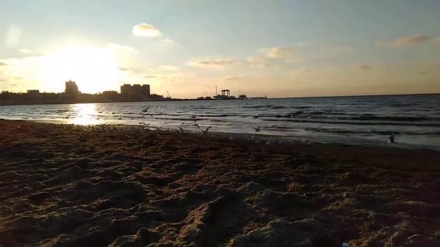 Анапа Шелест Волны