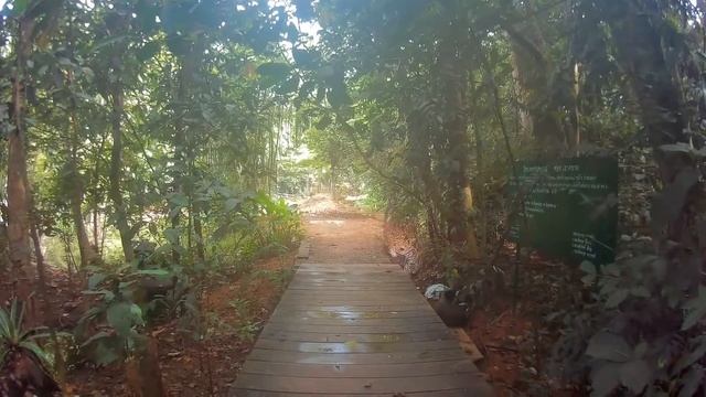 Tha Pom Khlong Song Nam Nature Trail