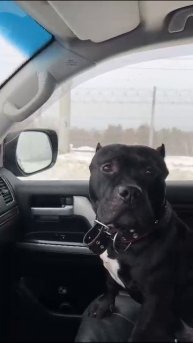 Любитель покатушек🥰💪