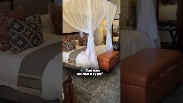 Отзыв о туре ЮАР | Ульяна