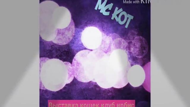 МС кот (клуб ирбис)