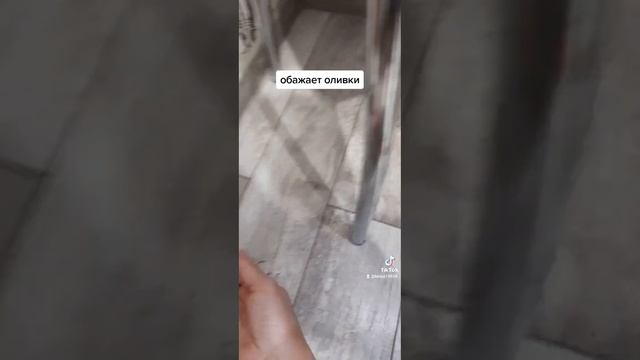 Кошачий кайф