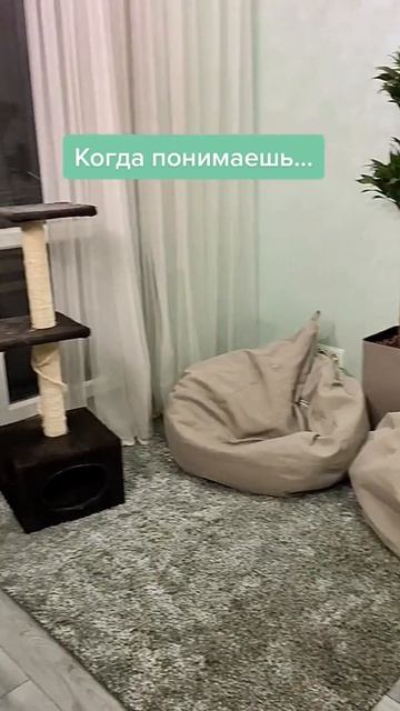 Понимание