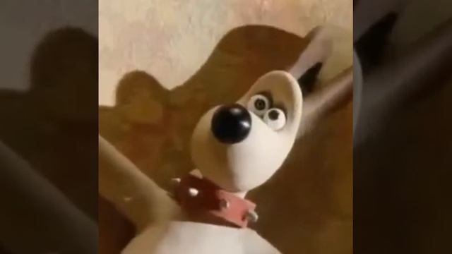 Gromit is for hour