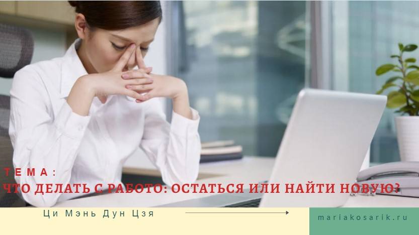 ВОПРОС-ОТВЕТ ЦИ МЭНЬ О РАБОТЕ: ОСТАВАТЬСЯ НА СТАРОЙ ИЛИ НАЙТИ НОВУЮ? КОГДА?