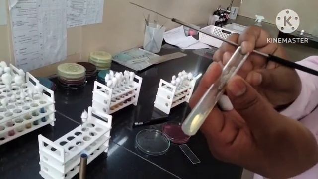 PPA TEST WITH PDF
