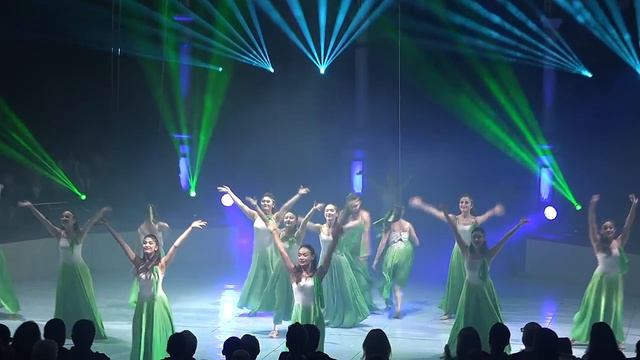 Elefants d'Or del Festival de Circ de Figueres 2017
