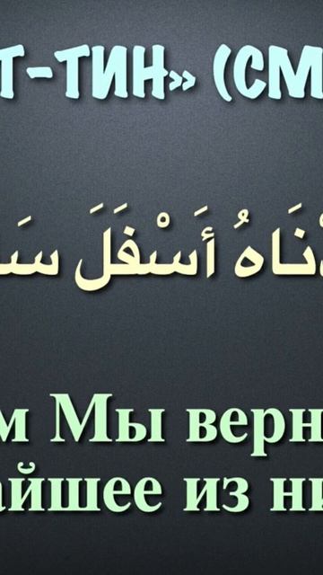 Сура 95  ат-Тин. Смоковница   Мухаммад аль Люхайдан