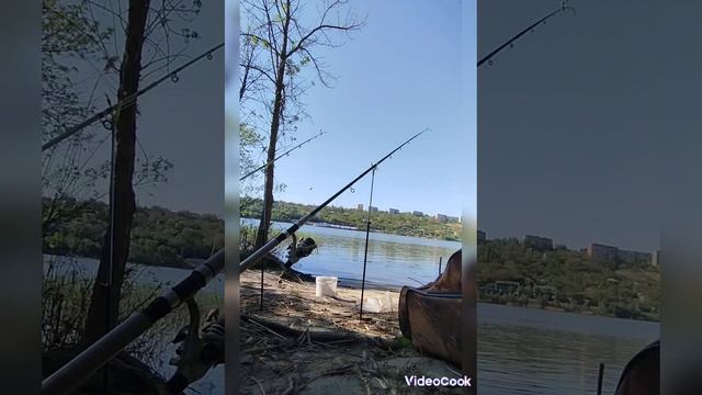 Рыбалка на Дону