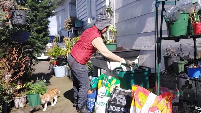 Celia Purca and John cleaning up the backyard.