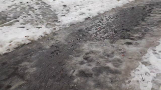 Водный мир. Москва 12-12-22. Оттепель.