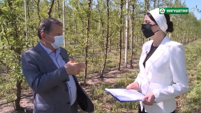 18052020 ГЛАВНОЕ САД ГИГАНТ СУЛТЫГОВА
