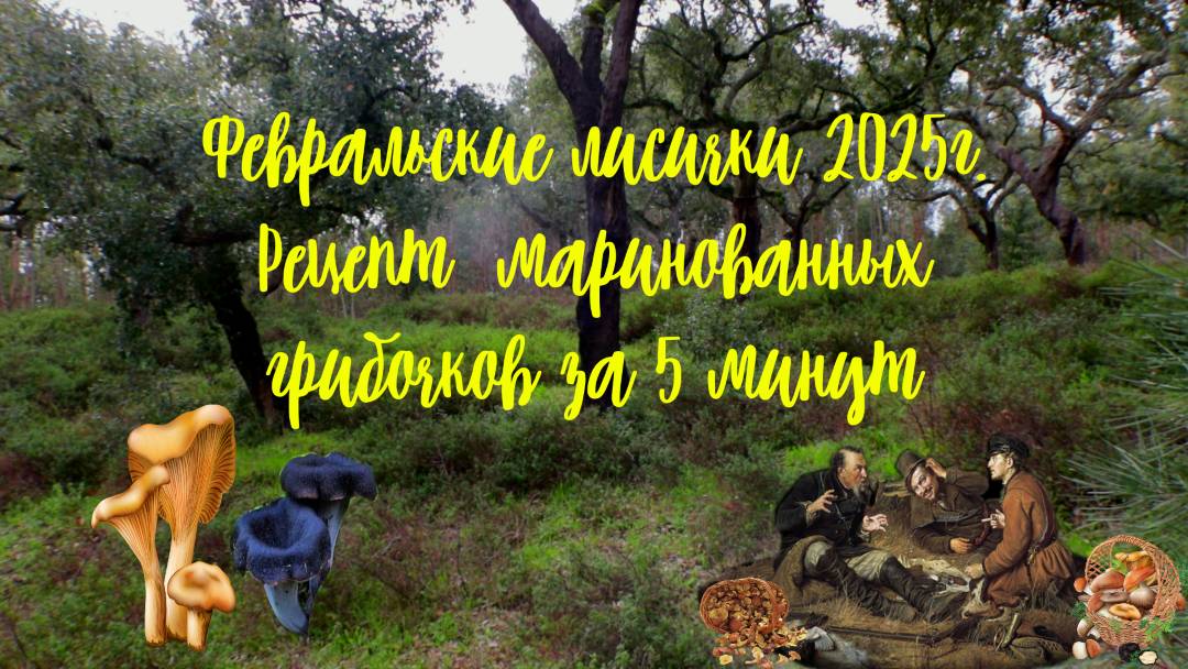 Февральские лисички 2025г. Рецепт маринованных грибочков за 5 минут.