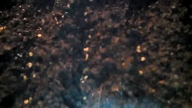 Посев помидор в ящик где были слабые всходы своих баклажан.