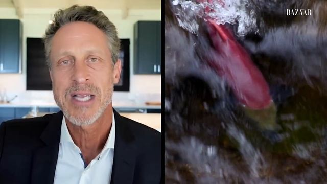Dr. Mark Hyman’s Guide to Plant-Based Eating | Food Diaries: Bite Size | Harper’s BAZAAR