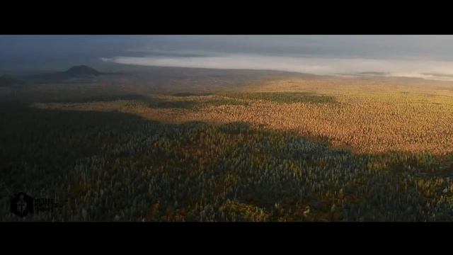 СТИХ АМЕРИКАНЦА О РУССКИХ (2020)