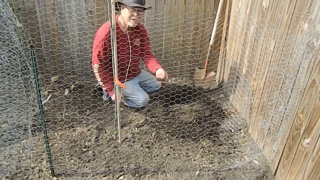 How to Propagate Artichokes