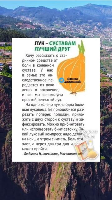 лук суставам лучший друг #полезно #медицина #здоров #здоровье #народнаямедицина #зож #полезныесовет