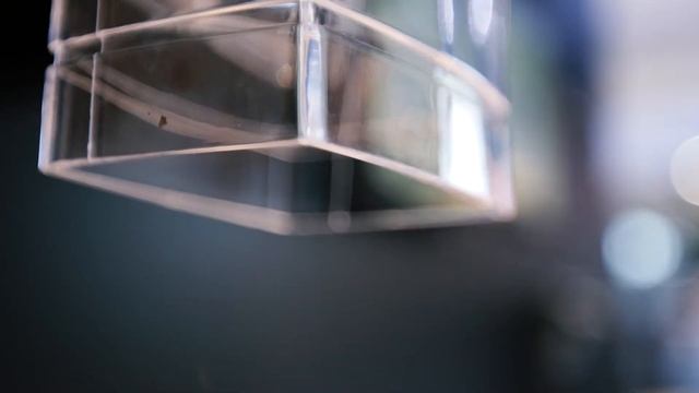 Organic Store: sustainable shopping with Bizerba