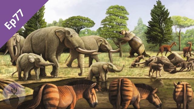 Gomphotheres