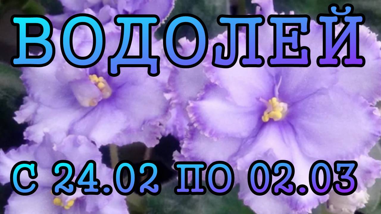ВОДОЛЕЙ таро прогноз на неделю с 24 ФЕВРАЛЯ по 2 МАРТА 2025 года.
