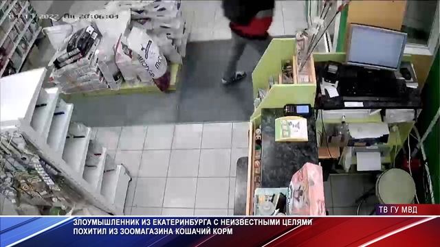 Похититель кошачьего корма