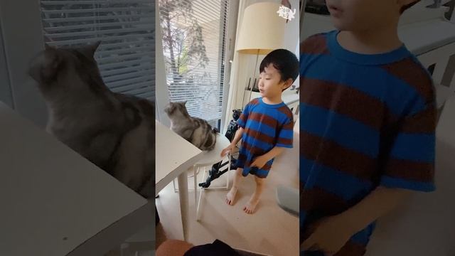 참을 성 많은 고양이 수리
