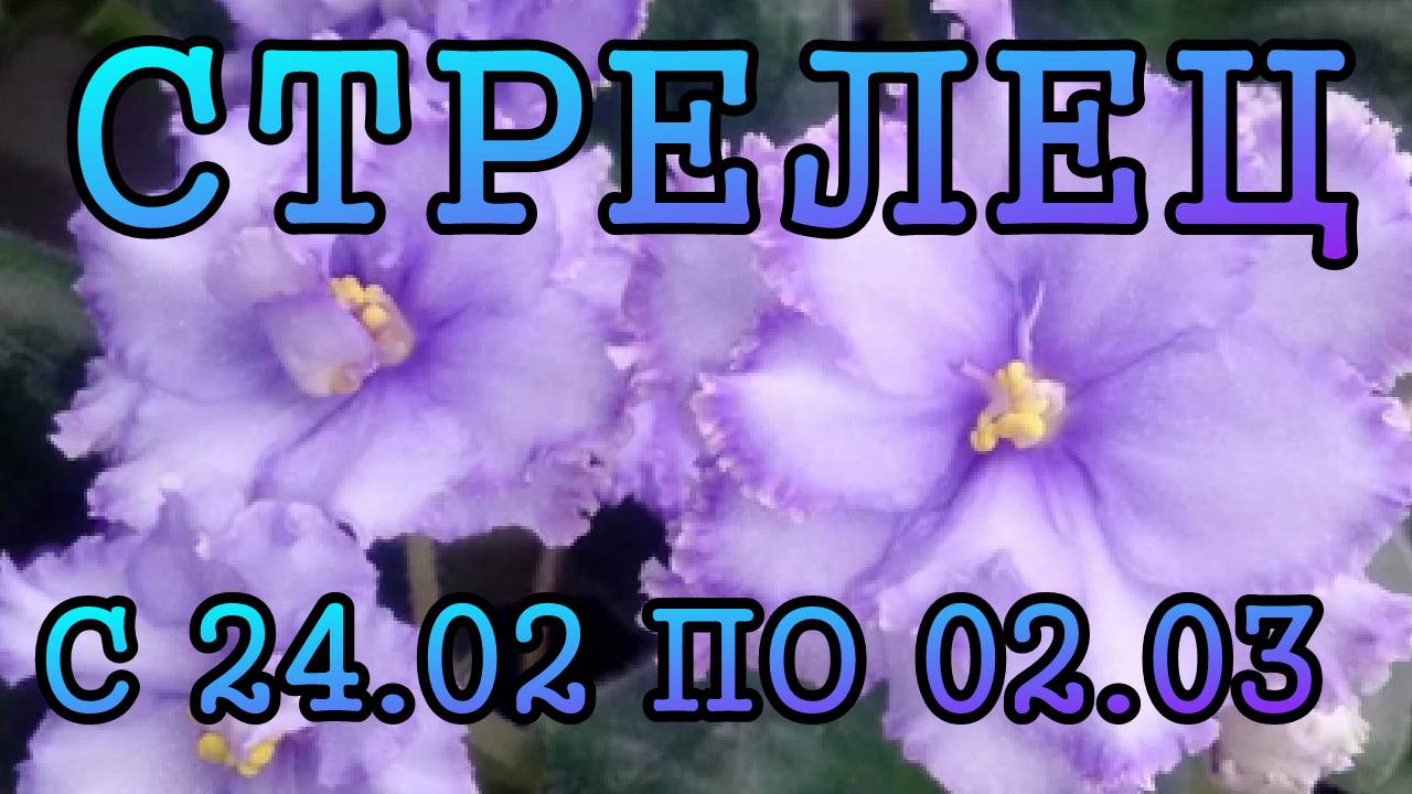 СТРЕЛЕЦ таро прогноз на неделю с 24 ФЕВРАЛЯ по 2 МАРТА 2025 года.