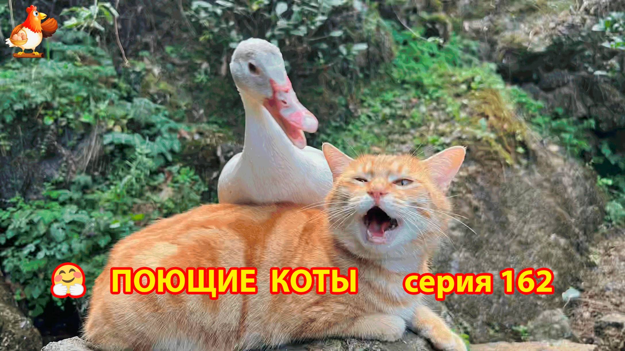 Крутые коты у птичьего двора серия (162) 🐈🐈😹 Природа Абхазии и подворье с птицами и животными ❣