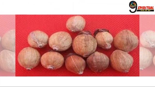 लघु नारियल के 4 उपाय, 1 भी कर लेंगे तो हो सकता है धन लाभ... | Small Coconut – Desi Totke