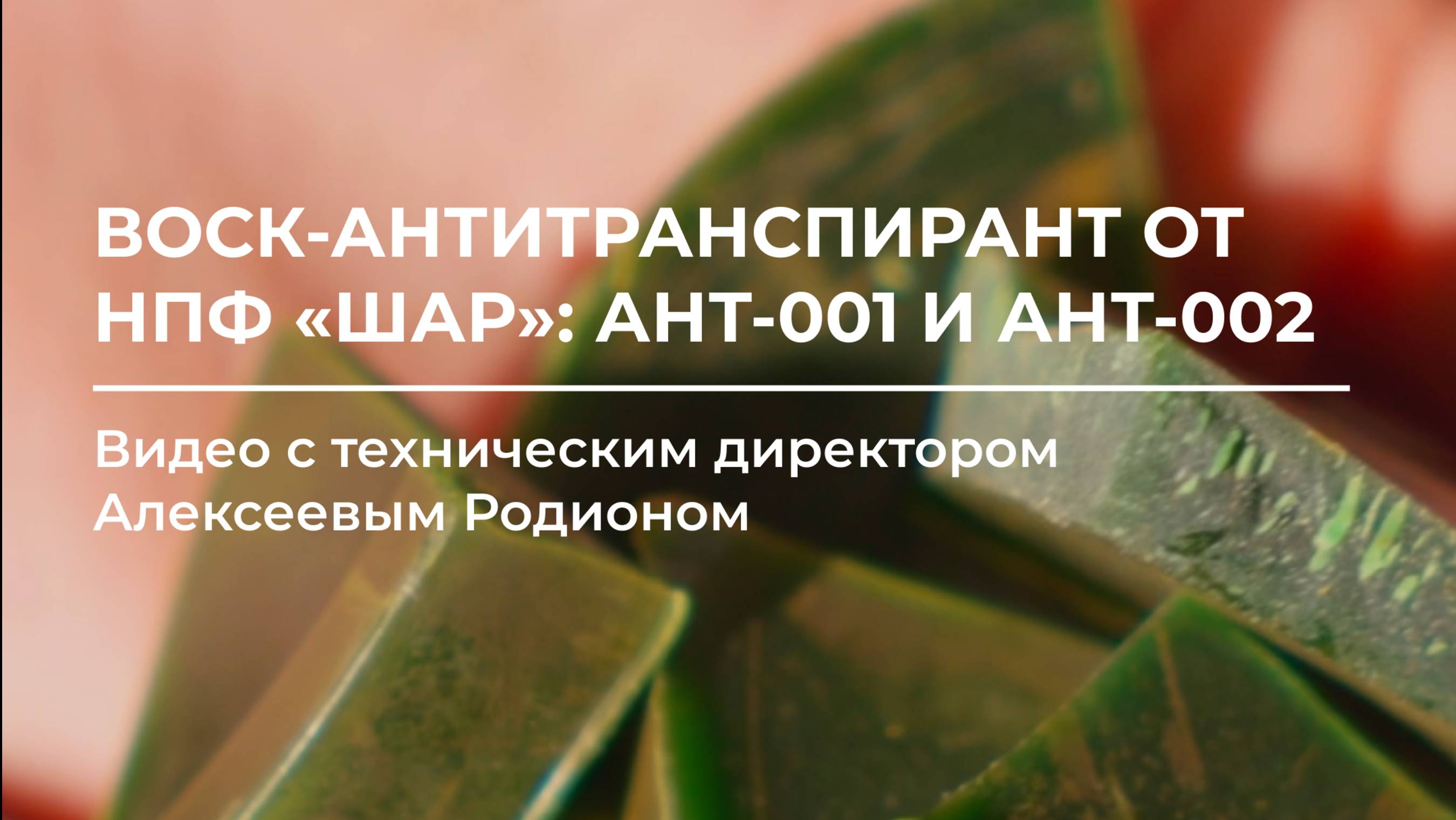 Воск-антитранспирант от НПФ «Шар»: АНТ-001 и АНТ-002 🌱🌤️