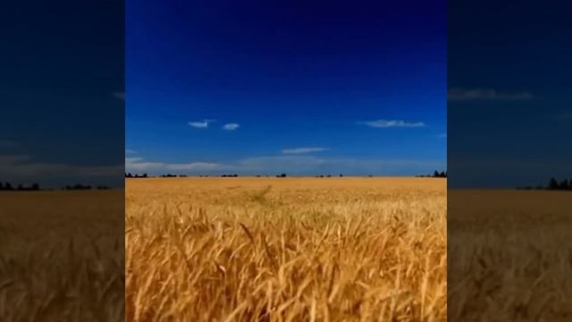 Юлія Ворман - ой у лузі червона калина