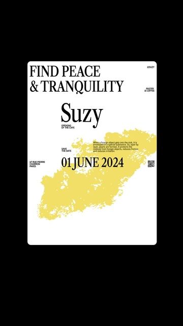 ID_COURSE 12 LVL — SUZY CREATION PROCESS