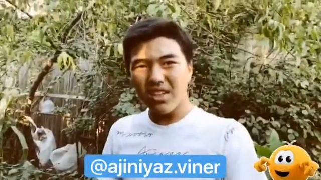 Ajinyaz pegas