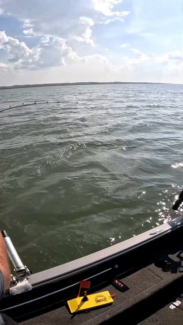 The BIGGEST Lake in the world #shorts #lakesuperior #salmon