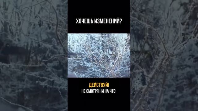как похудеть без диет и спорта? #спорт #рецепт #зож #похудение #пп #нутрициолог #стресс #потерявеса